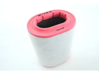 Lucht filter - V8 4.4 PETROL ONLY - Range Rover 2002-2009 Billig