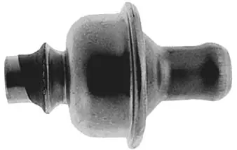 Garantierte Lieferung Air Check Valve Crown Victoria Mustang