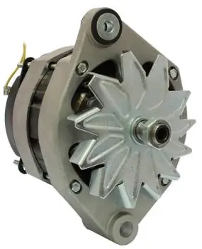 Lichtmaschine Neu - Made In Italy - für A14N119M Volvo Penta Expressversand