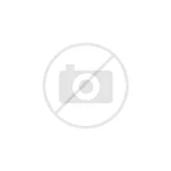 Shell Helix Ultra Racing 10W-60 Preisreduziert